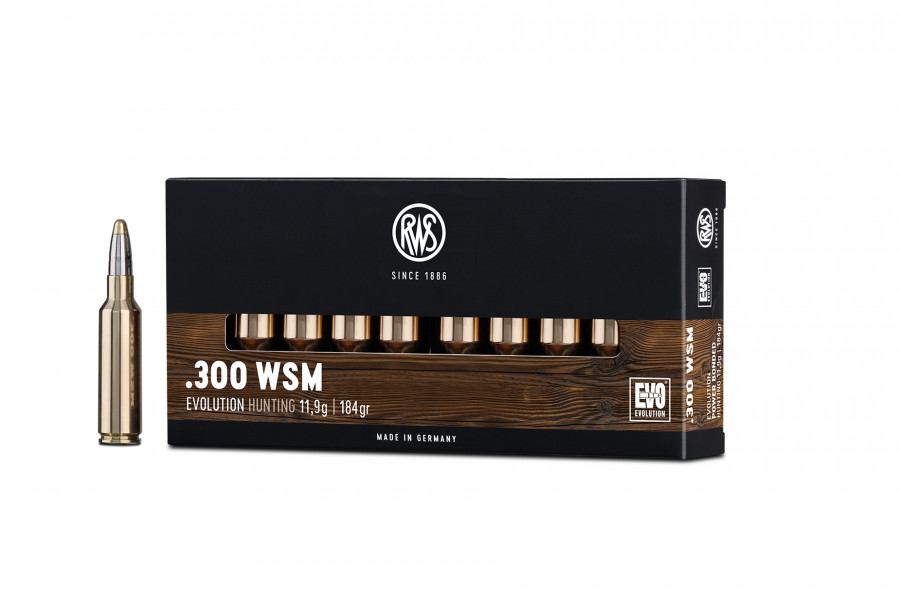 Büchsenpatronen RWS 300 WSM EVO 11,9g/184gr