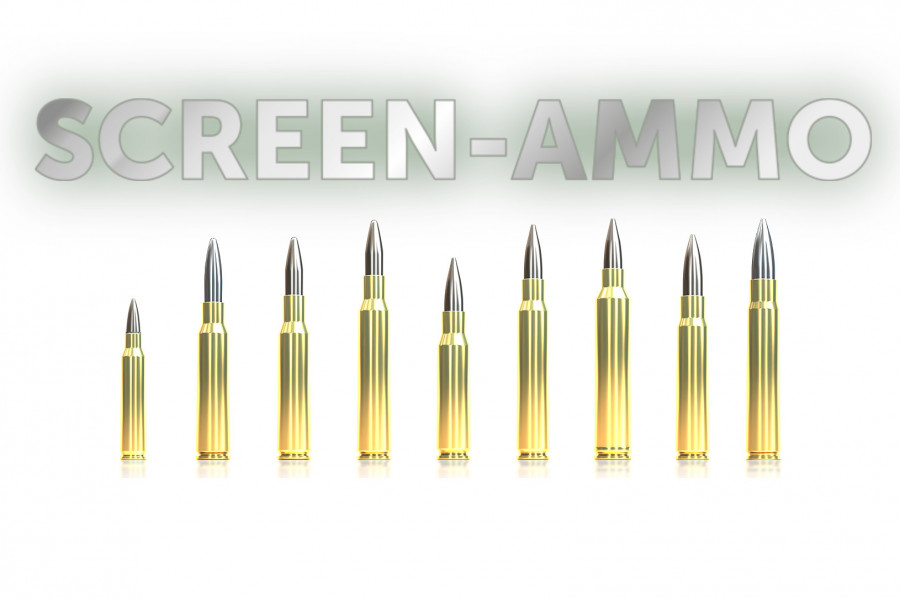 Büchsenpatronen Sellier & Bellot 308 Win. Screen-Ammo 8,0g/124gr