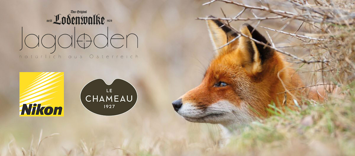  Messe Hohe Jagd Salzburg – SIEGERT Illustration 